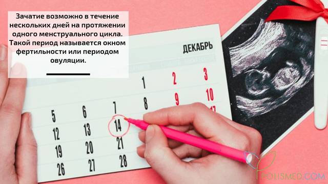 Флюорография при планировании беременности: можно ли делать за неделю до зачатия?