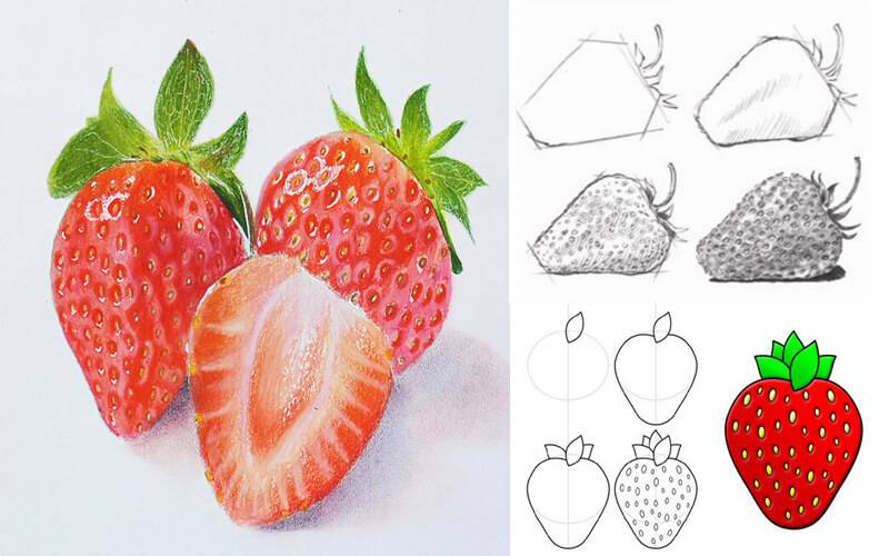 Как рисовать овощи и фрукты?