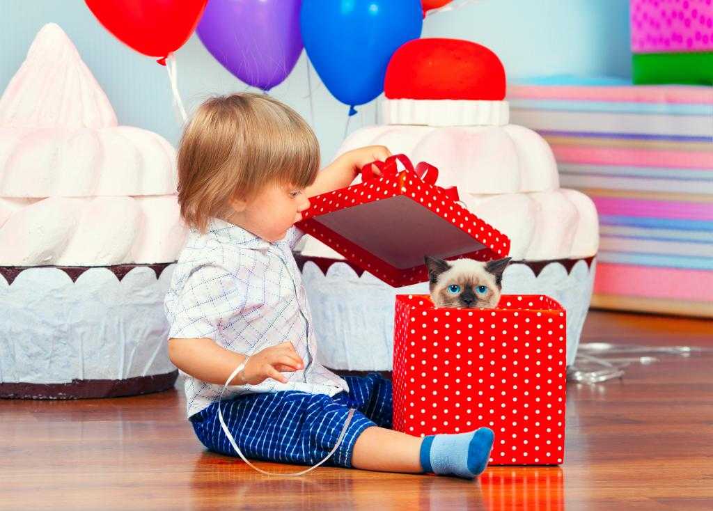 Что подарить мальчику на 2 года на день рождения - идеи подарков, в том числе сделанных своими руками