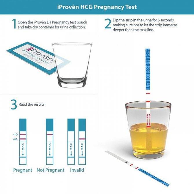 Какой стороной опускать тест на беременность в мочу, как использовать Evitest и другие?