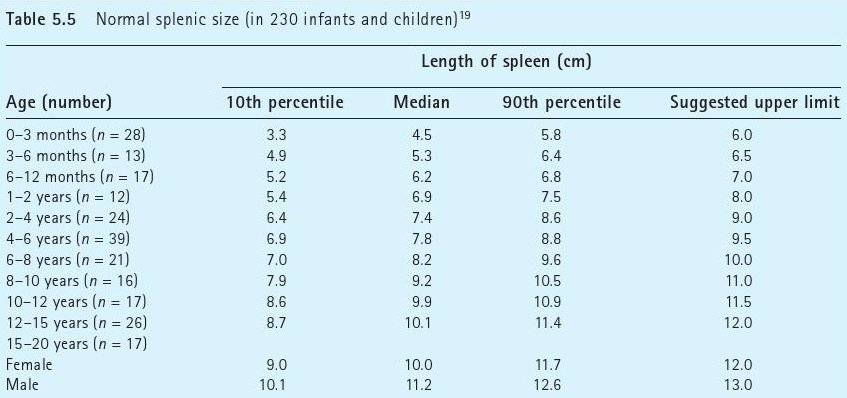 Ультразвуковое исследование селезенки: размеры, норма по узи у взрослых и детей, подготовка к узи