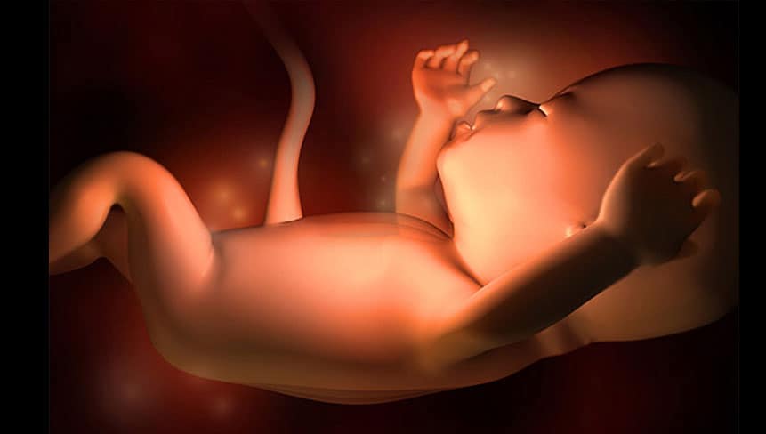 Редукция эмбрионов: что это такое и когда проводят?