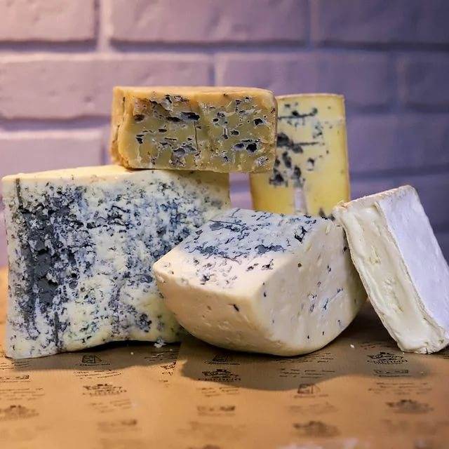 Сыр с плесенью при грудном вскармливании: можно или нет 