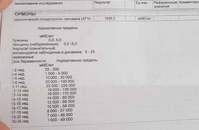 «гормон беременности» или хорионический гонадотропин человека (хгч) — клиника isida киев, украина