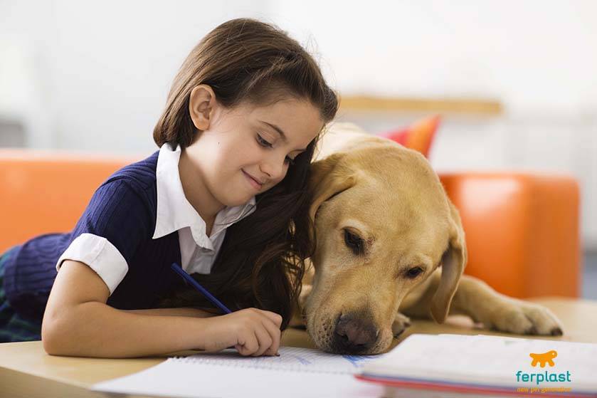 Ребенок и домашние животные - полезные советы - agulife.ru