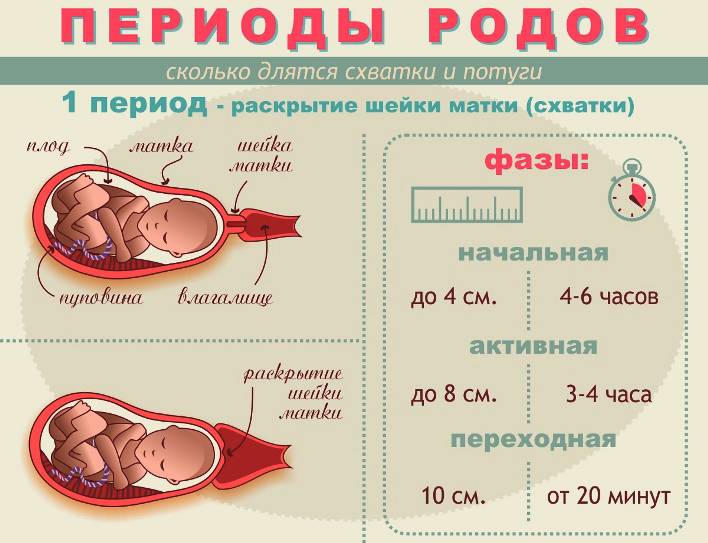 41 неделя беременности