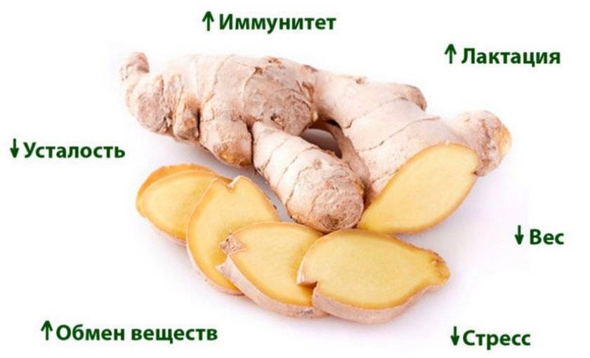 Польза мяса кролика для кормящей мамы и грудничка: рецепты и правила употребления