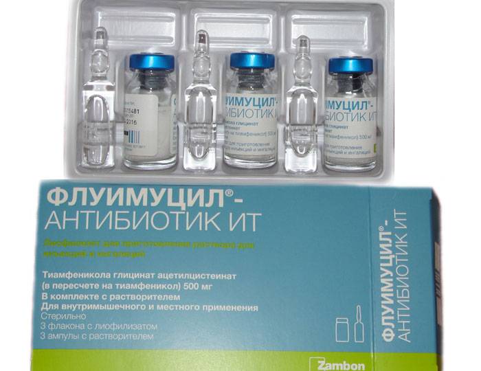“Флуимуцил – антибиотик ИТ”: инструкция по применению для ингаляций детям