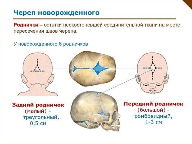 Все о родничках у детей - полисмед