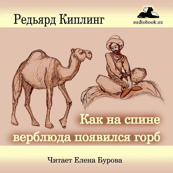 Зачем верблюду горбы (как объяснить ребенку 3-5 лет)