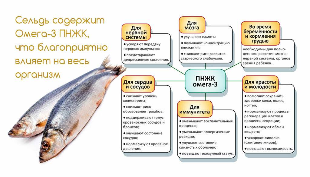 Какую рыбу можно употреблять кормящим мамам ⨮ 5 вкусных рыбных рецептов при гв