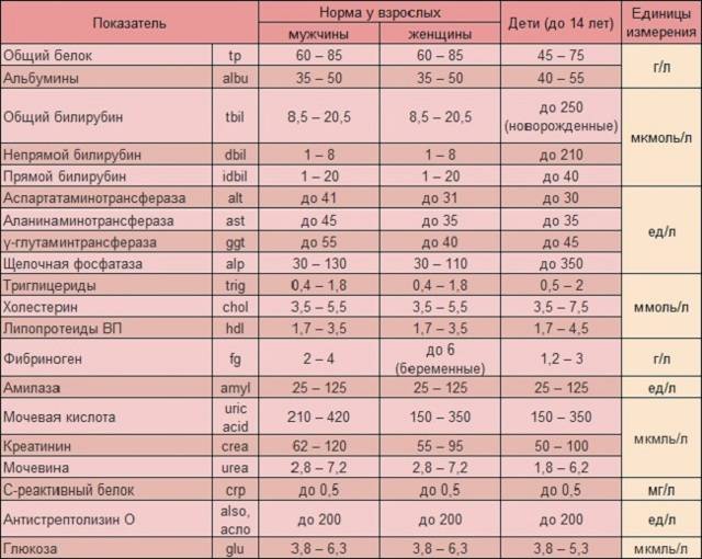 Анализ крови на витамин в9 (фолиевую кислоту)