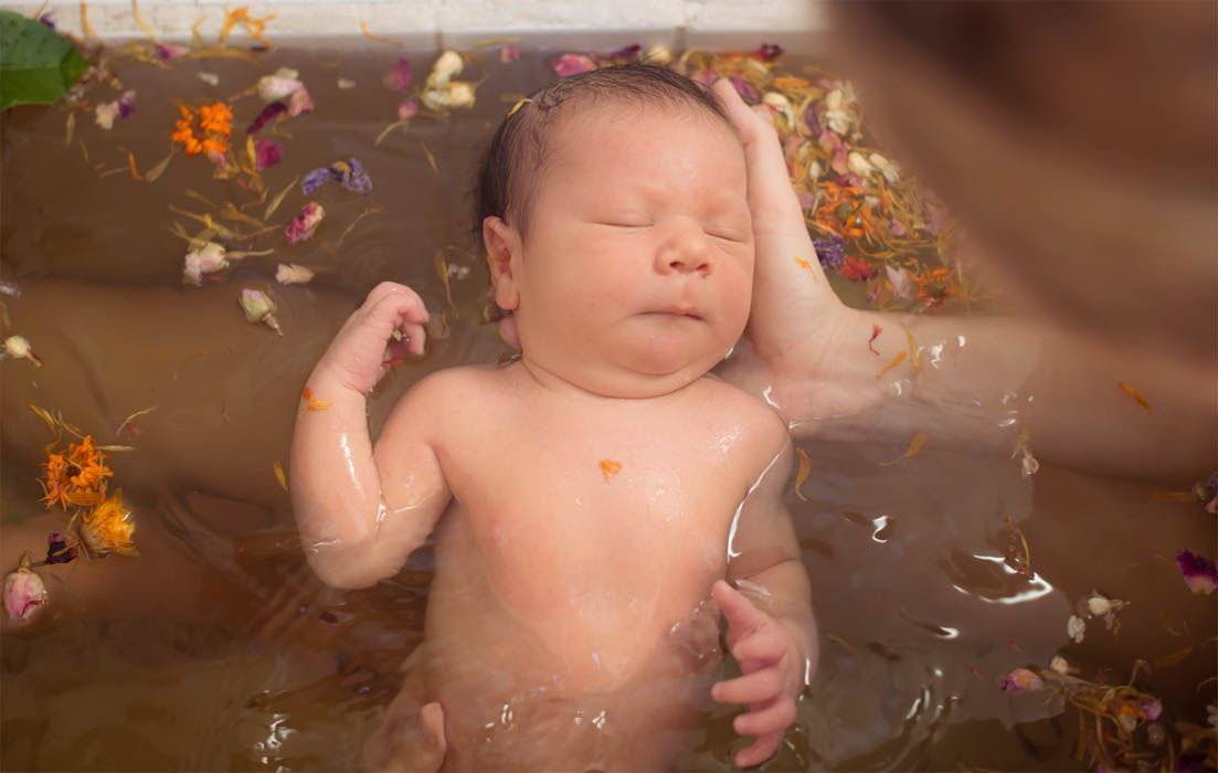 Ванночка для купания новорожденных с чередой. как использовать череду для купания новорожденного? плюсы и минусы растения