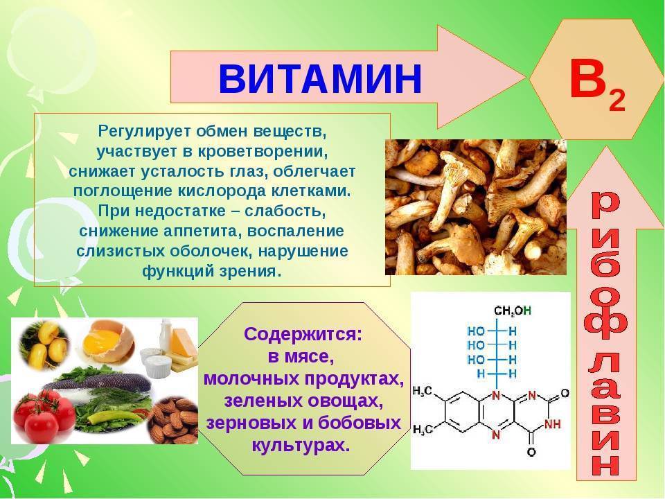 В каких продуктах содержится много витамина e [список] :: здоровье :: рбк стиль