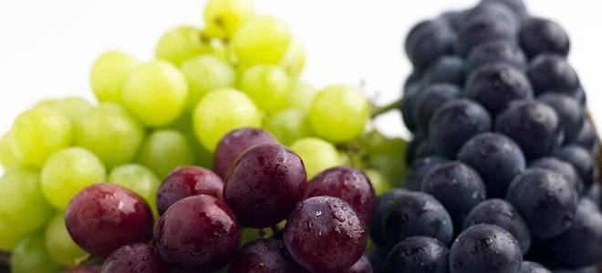 Употребления винограда при грудном вскармливании