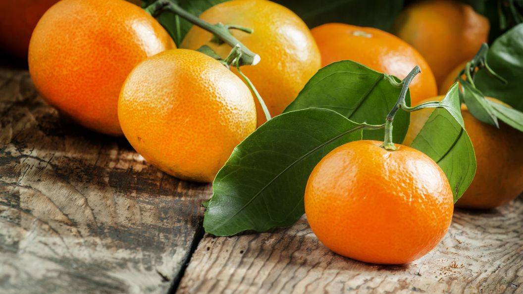 Как впрок хранить мандарины: применим к домашним обывательским условиям