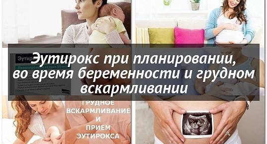Памятка пациенту: если вы принимаете  л-тироксин