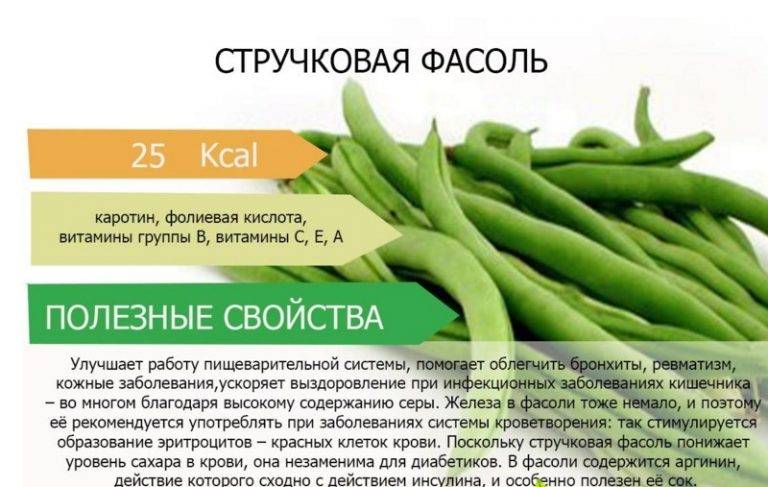 Можно ли фасоль при грудном вскармливании: польза и вред продукта для матери и ребенка при гв, а также рекомендации по употреблению бобового при лактации