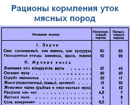 Чем полезны куриные желудки для организма человека