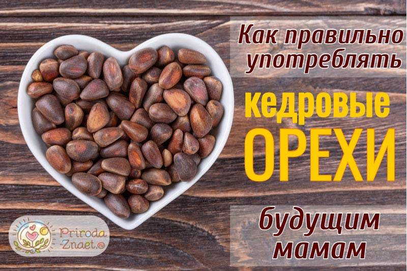 Можно ли кормящей маме кедровые орехи: полезные свойства и употребление при лактации